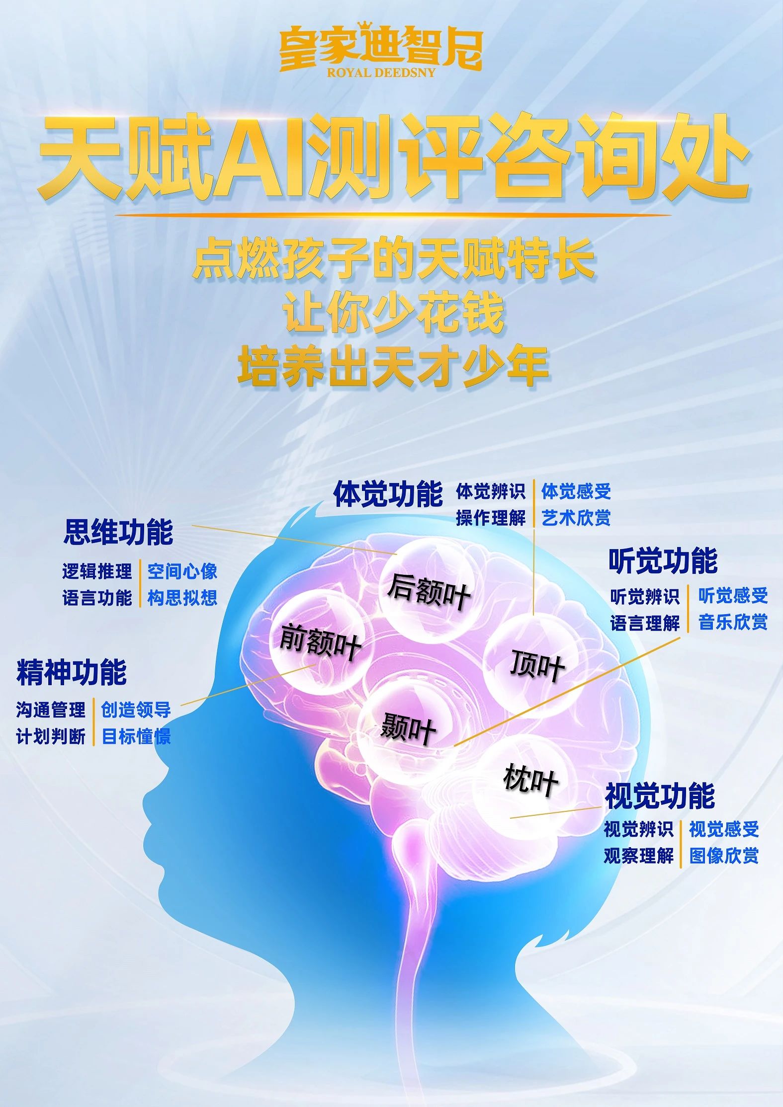 皇家迪智尼 I 為什么兒童益智玩具體驗館一定要引進天賦AI測評？