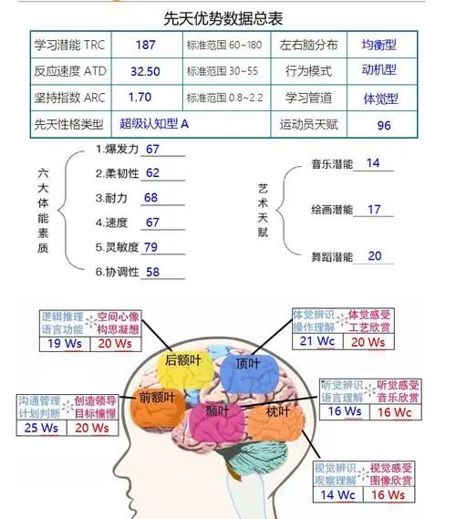 皇家迪智尼 I 營銷賦能益智玩具樂園結(jié)合天賦測評！