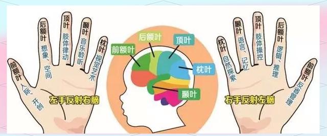 皇家迪智尼 I 解鎖八大智能天賦從皮紋測(cè)評(píng)開(kāi)啟！